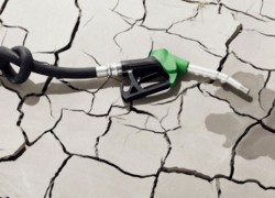 Дизель в рознице дешевел