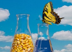 «Укрспирт» ищет инвесторов