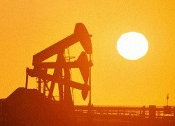 Нефть дорожает в ожидании статистики по запасам «черного золота» в США