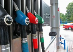 Бензины и СУГ дорожают на копейку