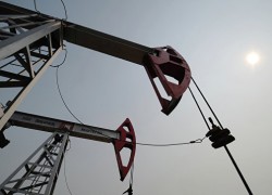 Легкая коррекция на нефть предваряет встречу ОПЕК