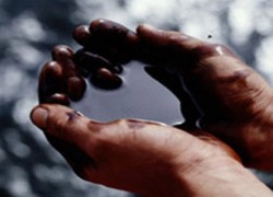 Мировые цены на нефть снижаются на данных прогноза Минэнерго США