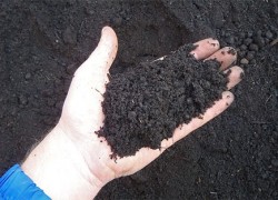 В Кабмине нашли замену дорогому газу