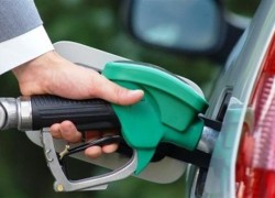 Средняя цена дизтоплива выросла на 7 коп, бензинов А-92 и А-95 на 8 коп