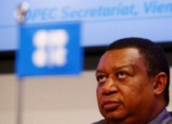 ОПЕК: к 2020г мировой спрос на нефть превысит 100 млн барр/сут
