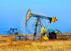 Компания Cadogan увеличила на 6% производство в Украине в 2016